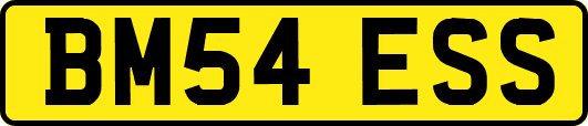 BM54ESS
