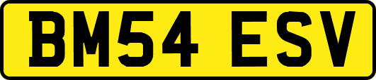 BM54ESV