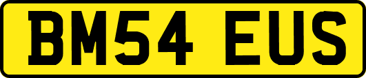 BM54EUS