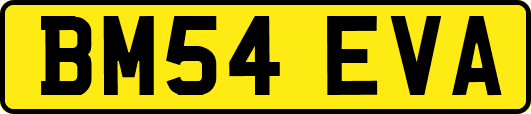 BM54EVA