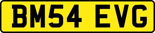 BM54EVG