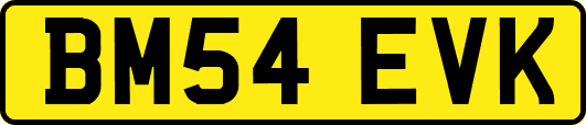 BM54EVK