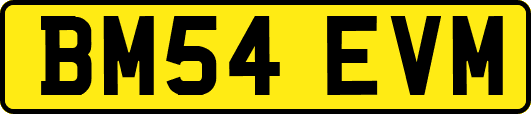 BM54EVM