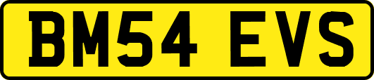 BM54EVS