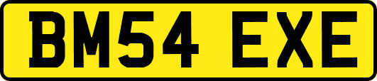 BM54EXE