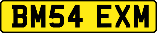 BM54EXM