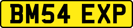 BM54EXP