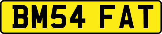 BM54FAT