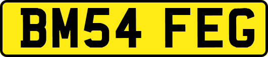 BM54FEG