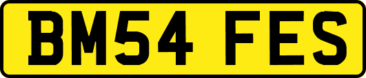 BM54FES