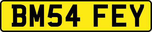 BM54FEY