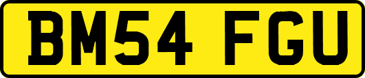BM54FGU