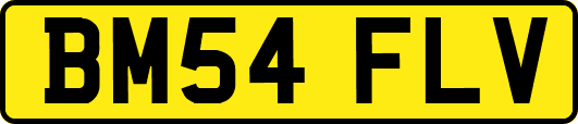 BM54FLV