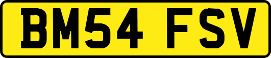 BM54FSV