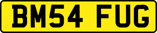 BM54FUG
