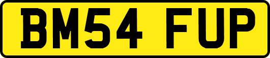 BM54FUP