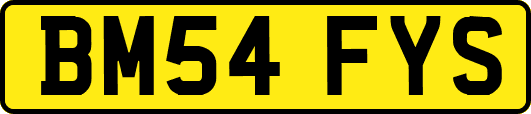 BM54FYS
