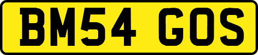 BM54GOS