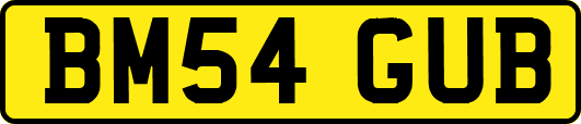 BM54GUB