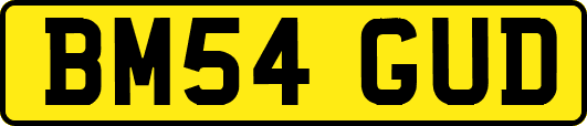 BM54GUD