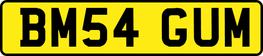 BM54GUM