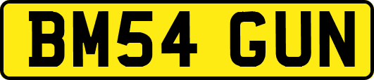 BM54GUN