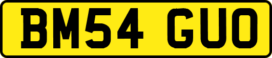 BM54GUO