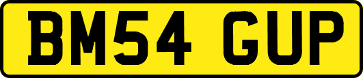 BM54GUP