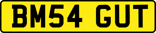 BM54GUT