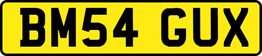 BM54GUX