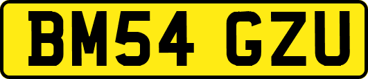 BM54GZU