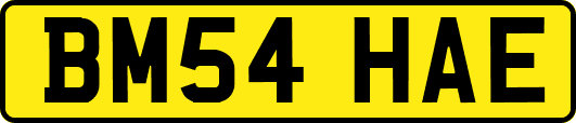 BM54HAE
