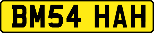 BM54HAH