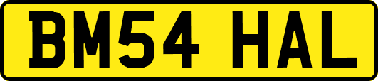 BM54HAL