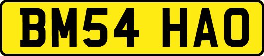 BM54HAO