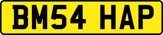 BM54HAP