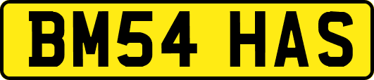 BM54HAS