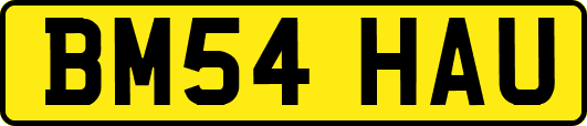 BM54HAU