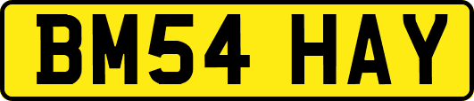 BM54HAY