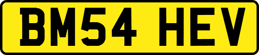 BM54HEV