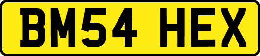 BM54HEX