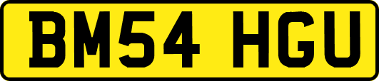 BM54HGU