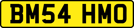 BM54HMO