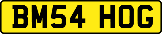 BM54HOG