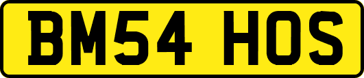 BM54HOS