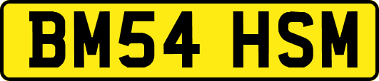 BM54HSM