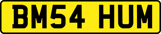 BM54HUM