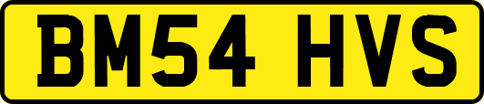 BM54HVS