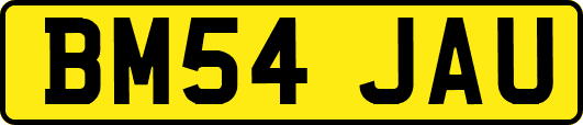 BM54JAU