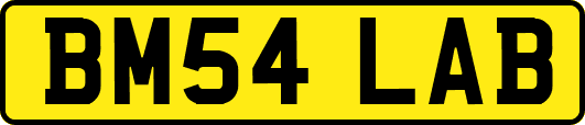 BM54LAB